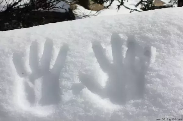 坐上火車 去那可可西里