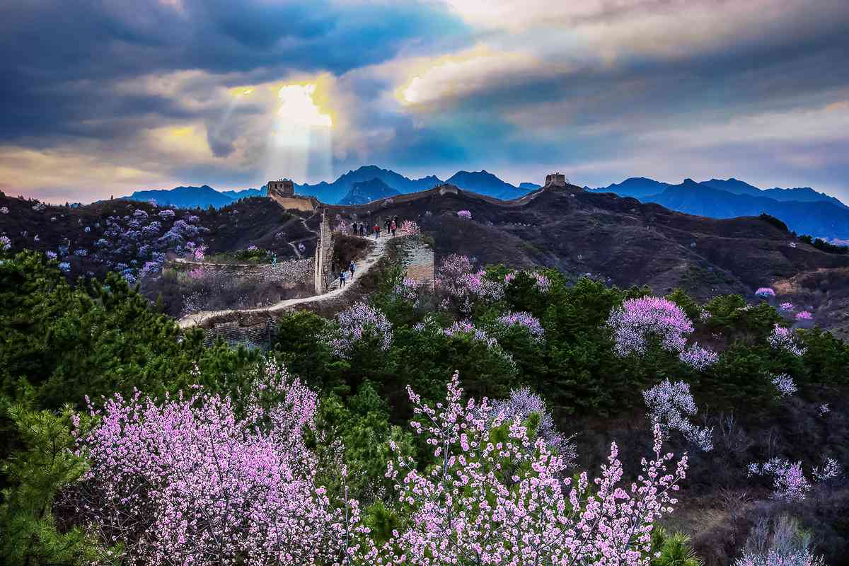 金山嶺長城賞花線路