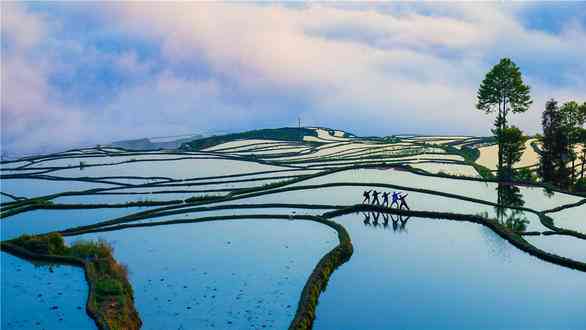 元陽(yáng)梯田最佳旅游時(shí)間到了，梯田景區(qū)哪里最適合拍攝你知道嗎？