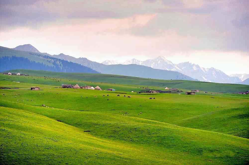 瓊庫(kù)什臺(tái)-天山腹地的草原秘境