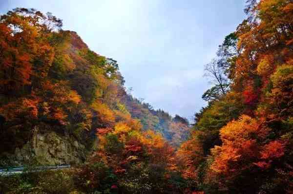 四川賞楓葉最全指南