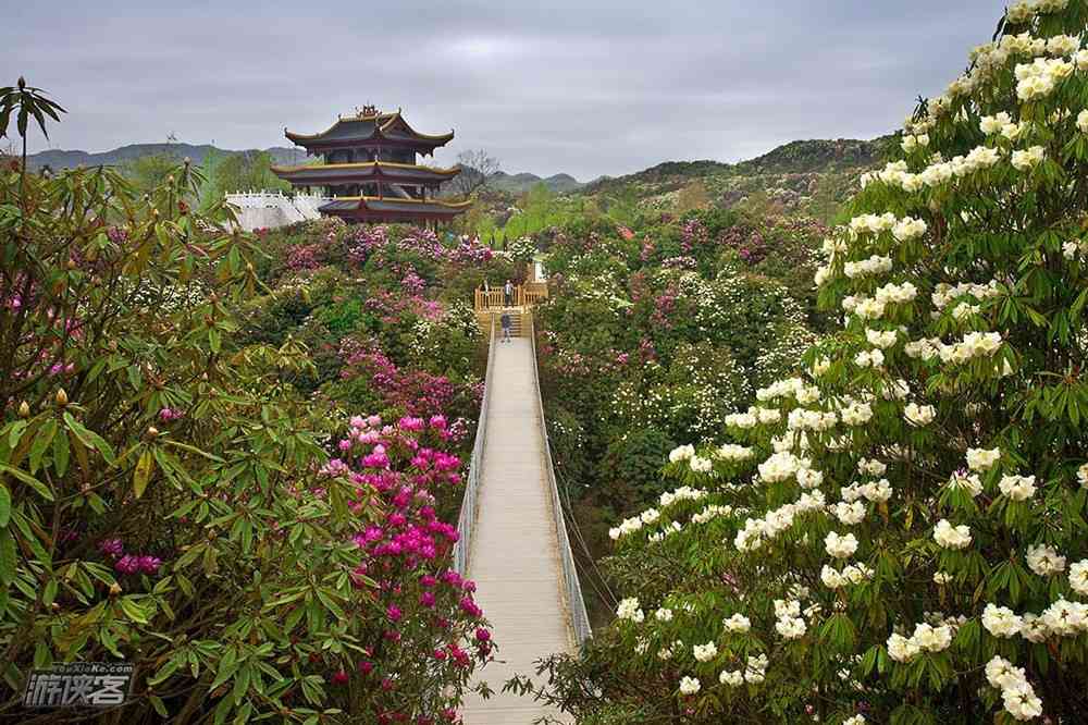 國內(nèi)春季旅游絕佳目的地推薦之貴州