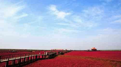 盤錦紅海灘旅游幾月份最好？盤錦紅海灘形成原因是什么？