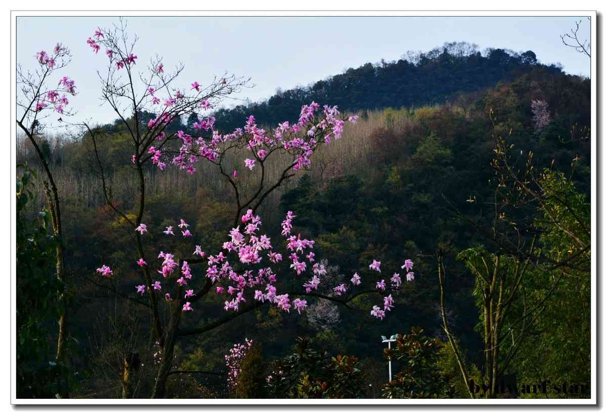 四川旅游最佳時間  什么季節(jié)來四川最好