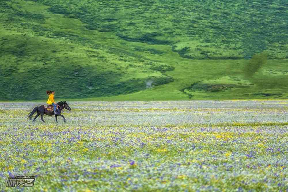 2018國內(nèi)春季旅游絕佳目的地推薦之四川