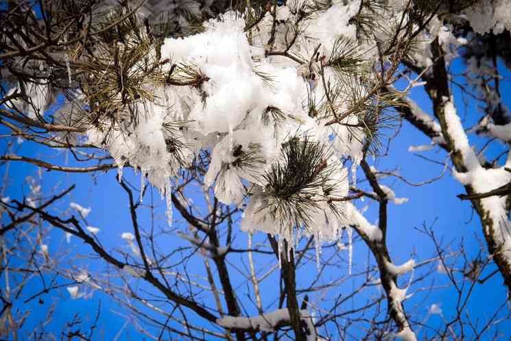 【杭州周邊】冬季踏雪好去處