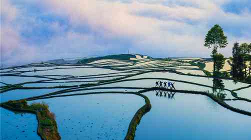 元陽梯田最佳旅游時間，元陽梯田觀賞指南