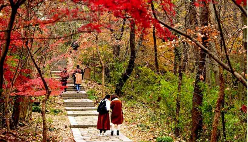 南京紫金山門票多少錢？紫金山景區(qū)有哪些風景看點