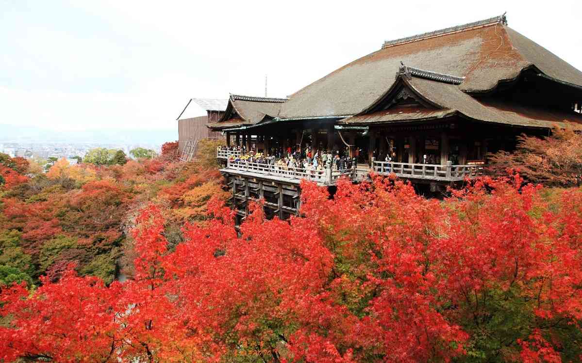 日本有哪些著名寺廟