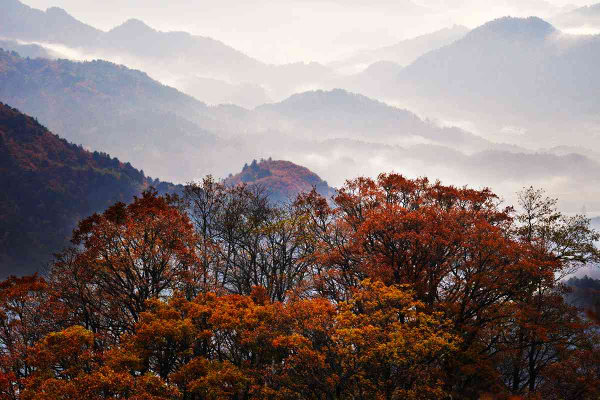 大別山秋色可以看哪些景點