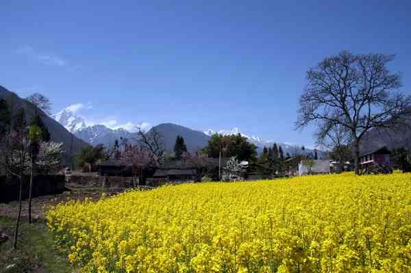 四川旅游 十大最美旅游景點(diǎn)