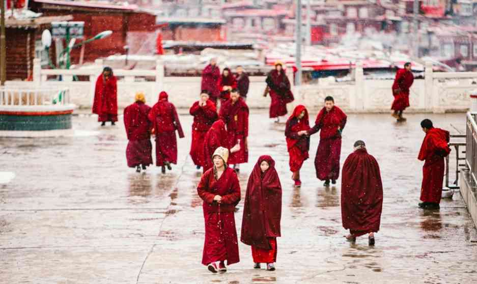 甘南旅游景點(diǎn)推薦_甘南好玩的景區(qū)大全_甘南旅游攻略