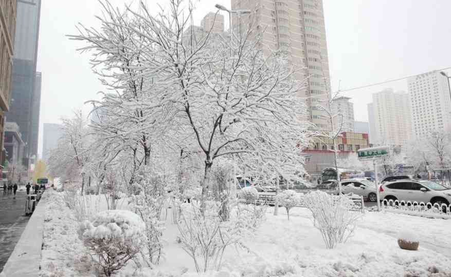 南方已入夏，東北沈陽卻突降暴雪