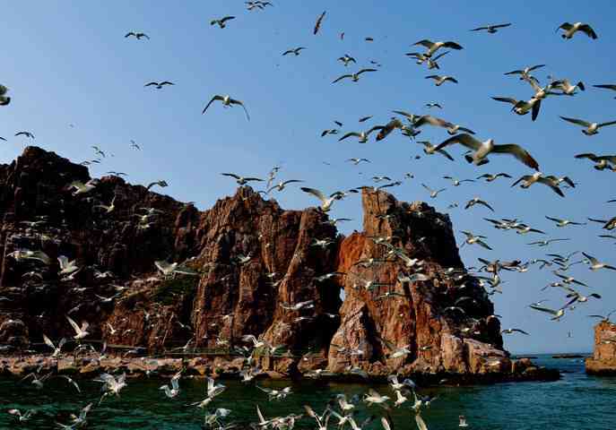 海驢島在哪，景色如何？幾月份去最好？