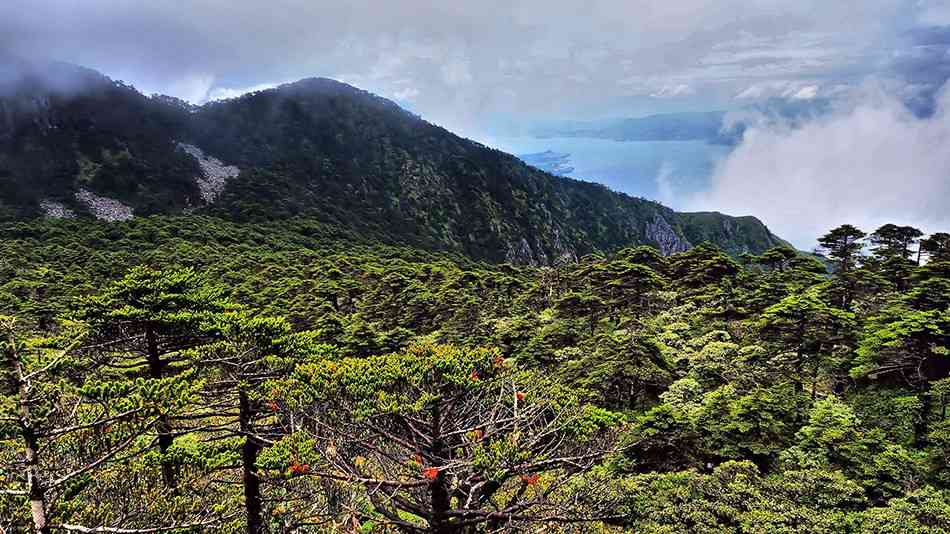 大理古城必去景點(diǎn)，去大理旅游可以逛哪里