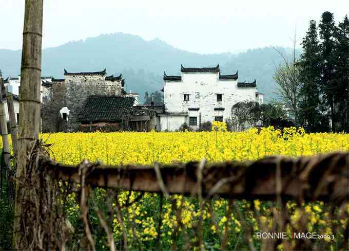 誘人的黃色！江西婺源油菜花獨(dú)家攝影攻略大公開