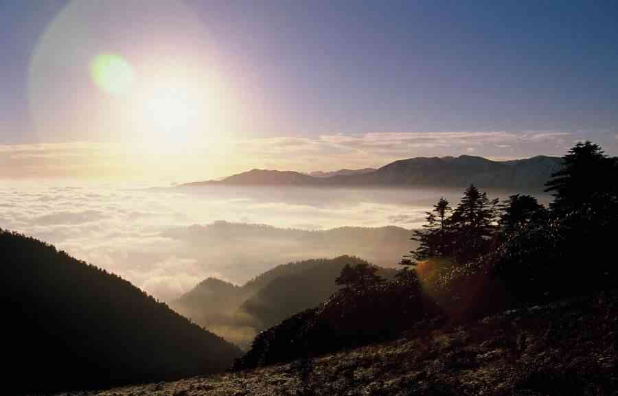 四川雅安十大景點：杜鵑山介紹