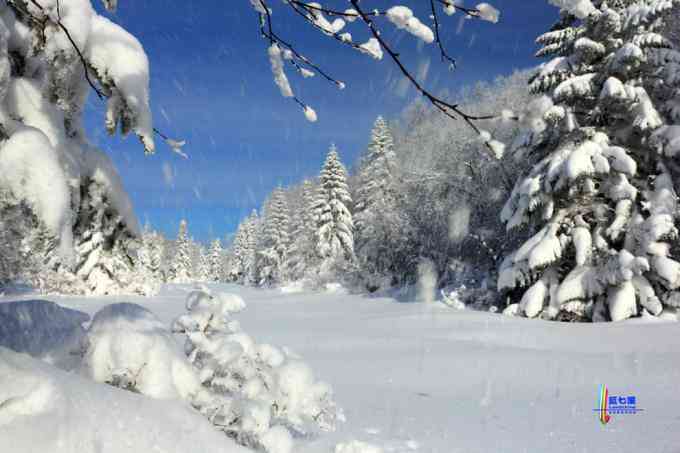 冬季拍雪哪里好？東北長白有雪嶺