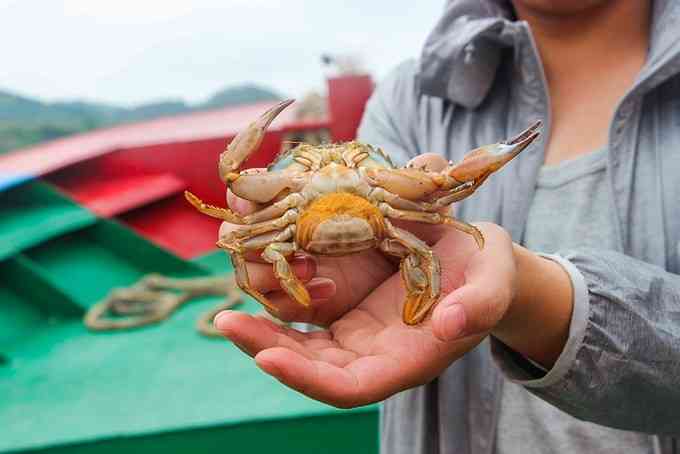 硯瓦島游玩，硯瓦島的私人玩法送給你