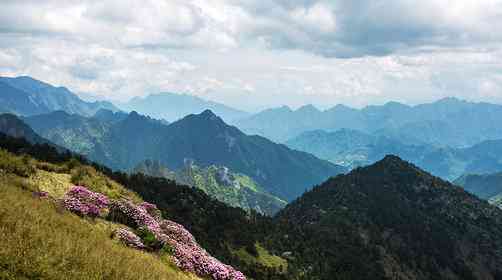 疫情過后相約湖北，湖北神農(nóng)架旅游攻略