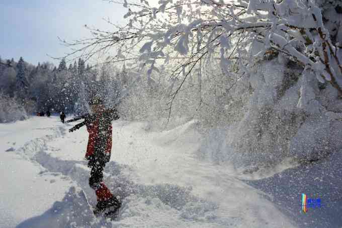 冬季拍雪哪里好？東北長白有雪嶺