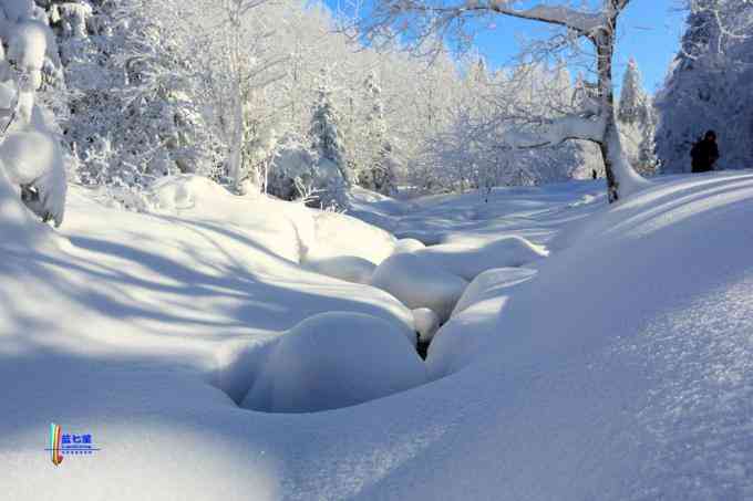 冬季拍雪哪里好？東北長白有雪嶺