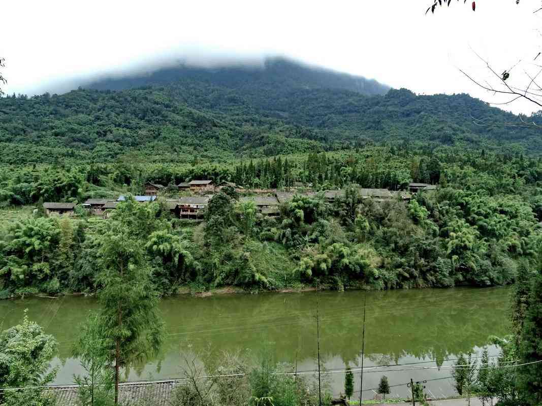 四川雅安周公山國家森林公園