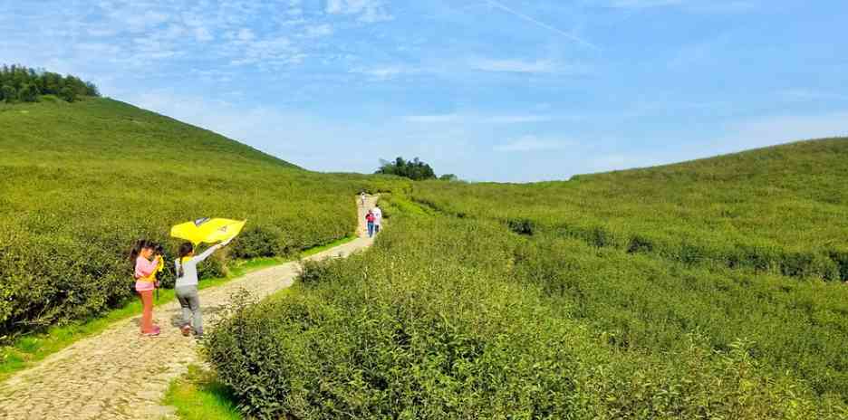 浙江寧波旅游景點(diǎn)大全_去寧波旅游哪個(gè)地方好玩？