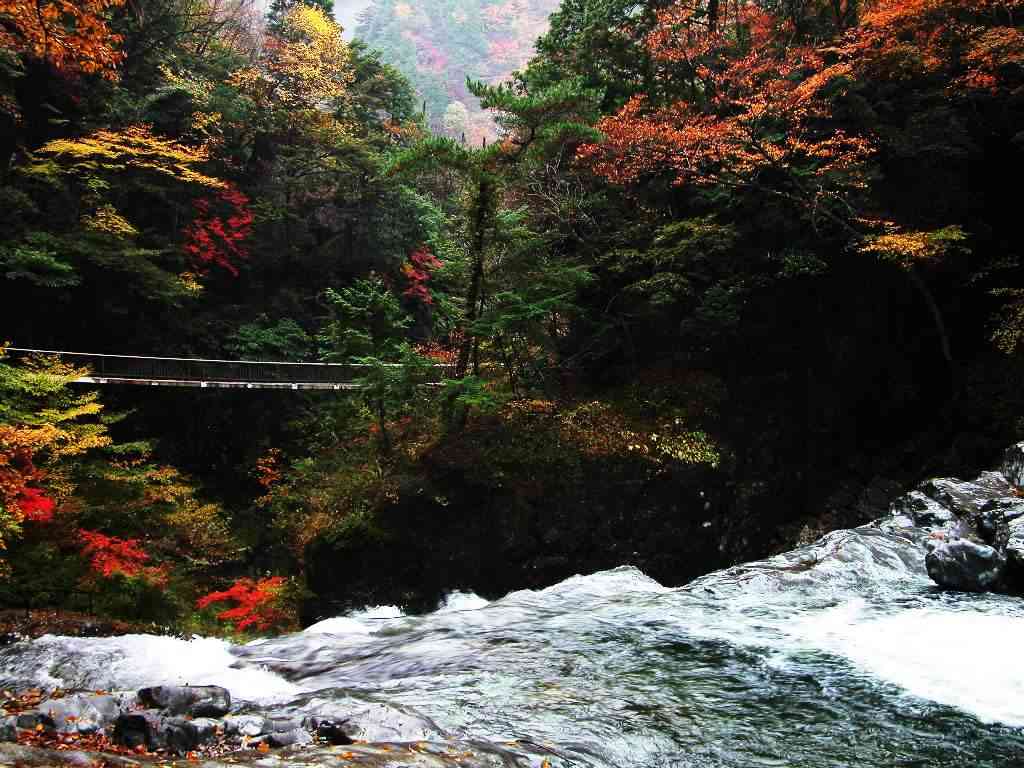 蓮花山自然保護(hù)區(qū)