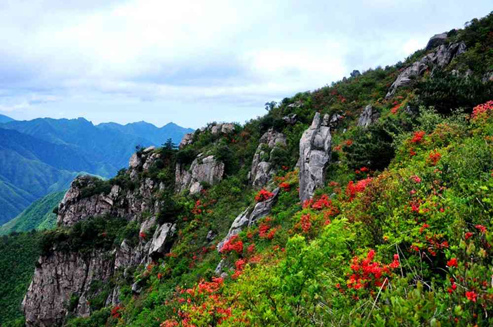 2018華東看杜鵑花哪里好？浙西桃源尖怎么樣？