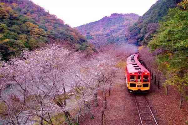 注意！日本旅行的5大誤區(qū)！