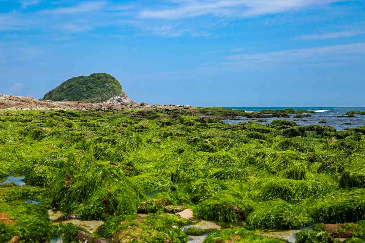 惠東黑排角鹽洲島好玩嗎