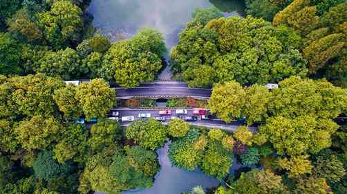 今后私家車將難進(jìn)西湖景區(qū)北山路、楊公堤、南山路