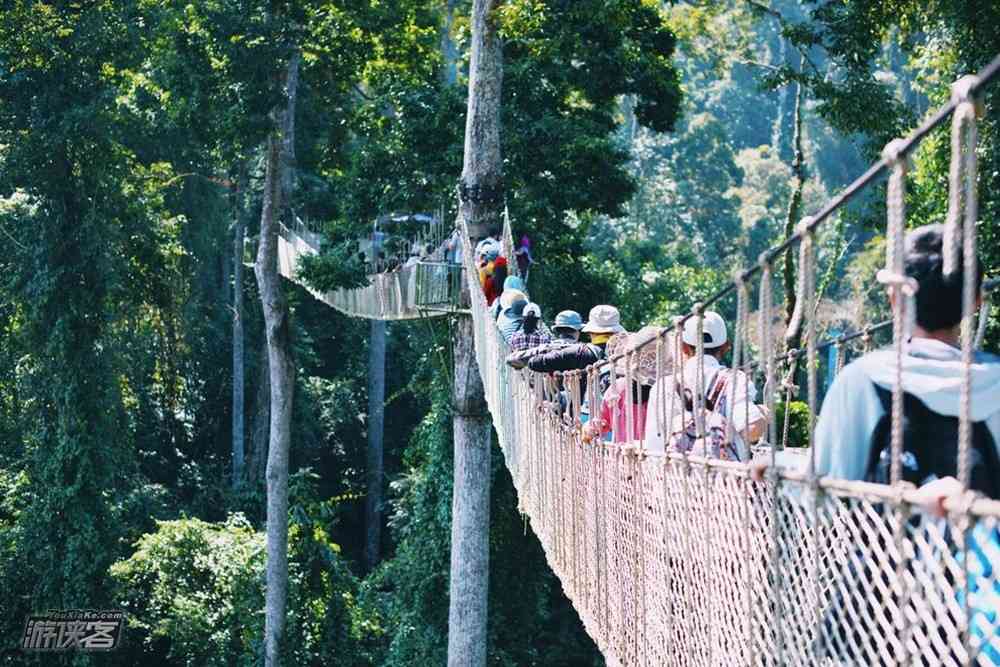 云南清明節(jié)旅游好去處