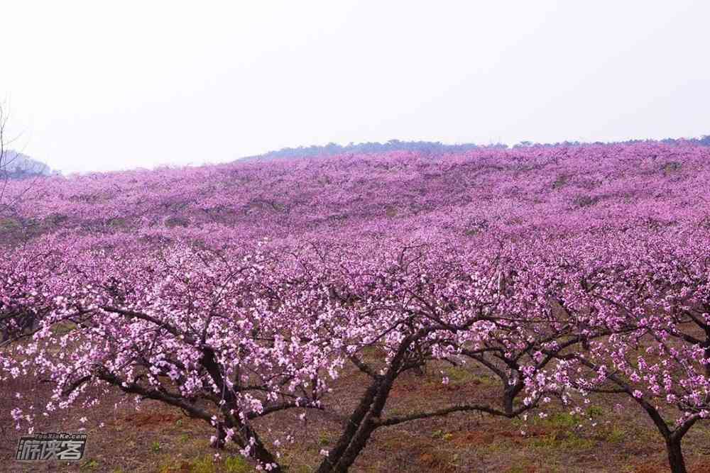 湖北有什么旅游景點(diǎn)，哪里最值得去