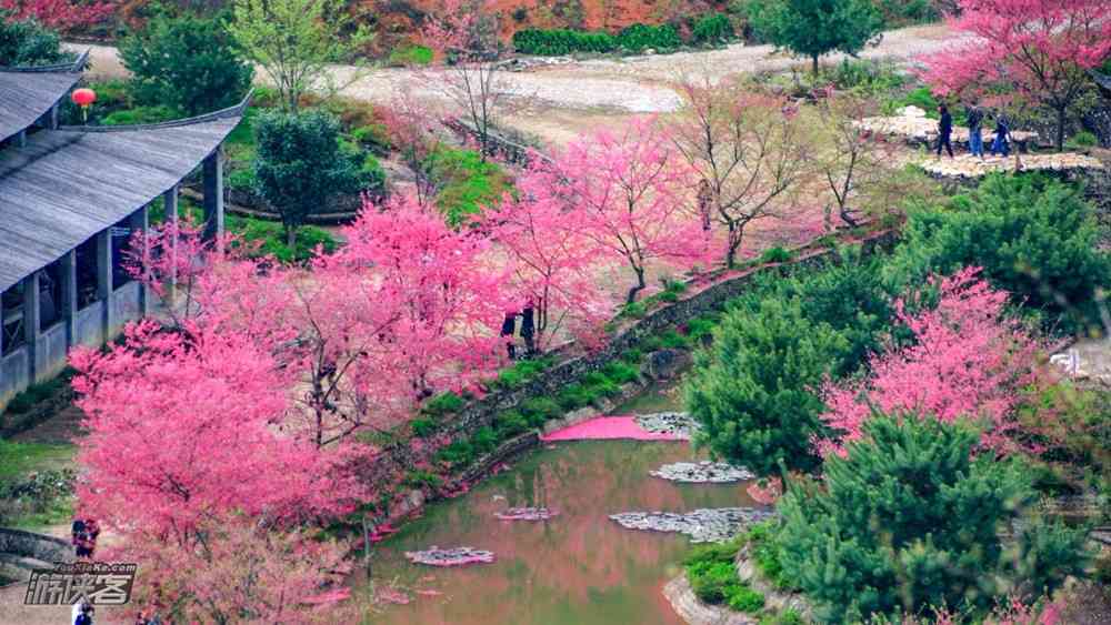 廣州春天去哪里旅游