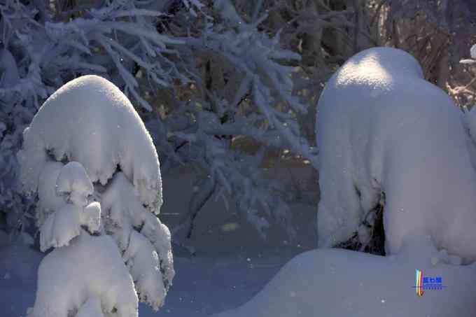 冬季拍雪哪里好？東北長白有雪嶺