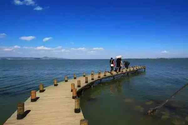 昆明的“巴厘島”—南滇池國家濕地公園