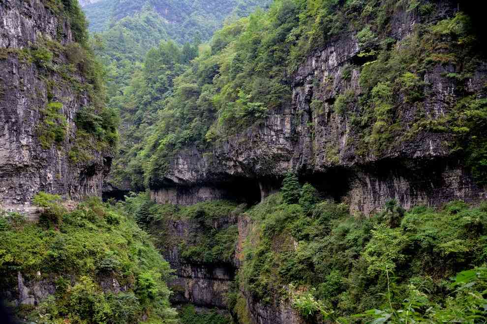 夏天去哪里玩好玩？暑假哪里不熱？高考以后去哪玩？快來(lái)清涼恩施過(guò)夏天吧~