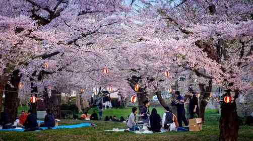 第一次去日本旅游，日本旅游出行攻略