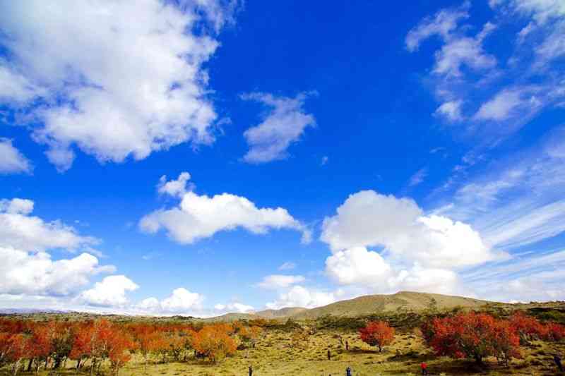 被世間遺落的珍寶—大美新疆，新疆旅游攻略