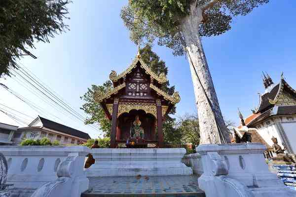 清邁最大寺廟契迪龍寺游玩攻略