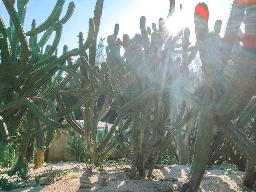 廈門周邊旅游景點_推薦廈門周邊自駕游路線