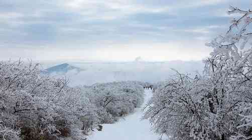 龍王山雪景什么時候有？徒步登頂難度大嗎？