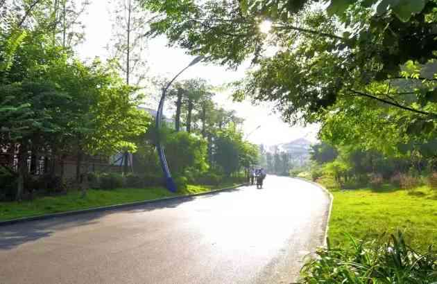 柳州的這些公園，是跑步的絕佳去處