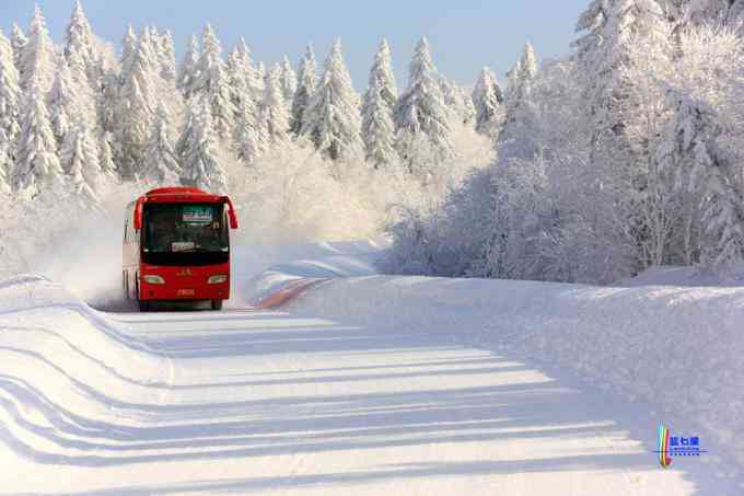 冬季拍雪哪里好？東北長白有雪嶺