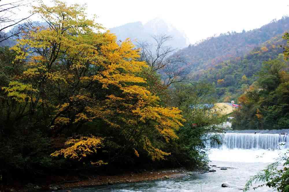 四川雅安喇叭河景區(qū)攻略