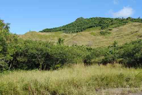 太平洋戰(zhàn)爭(zhēng)國(guó)家歷史公園 帶你走進(jìn)關(guān)島風(fēng)云