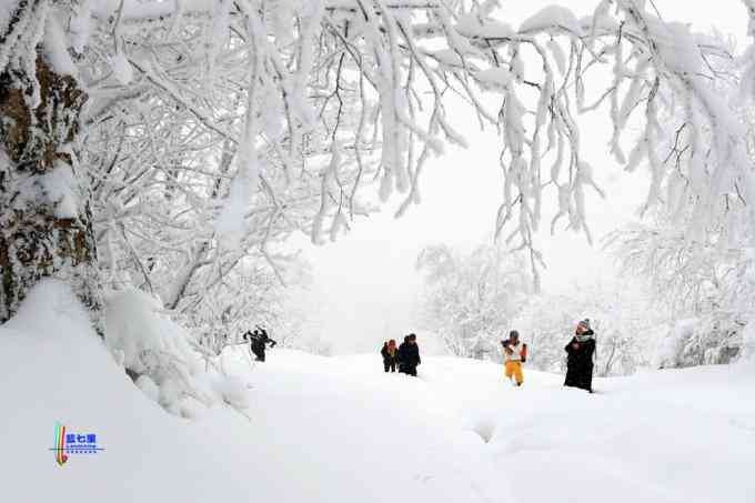 冬季拍雪哪里好？東北長白有雪嶺