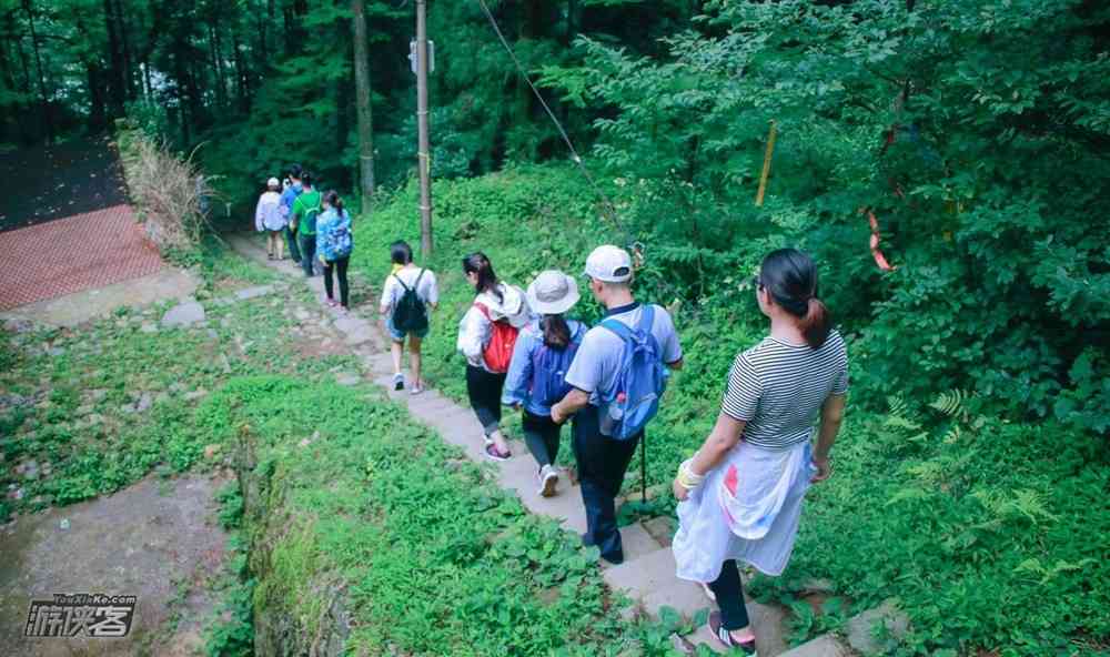 莫干山賞春路線有哪些？趁著春色去走一走